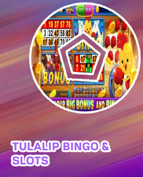 Bingo slots online
