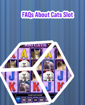 Cats slot machine