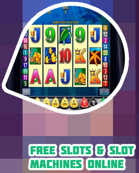 Dolphin treasure free slots