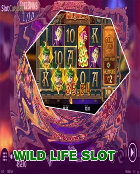 The wild life slot